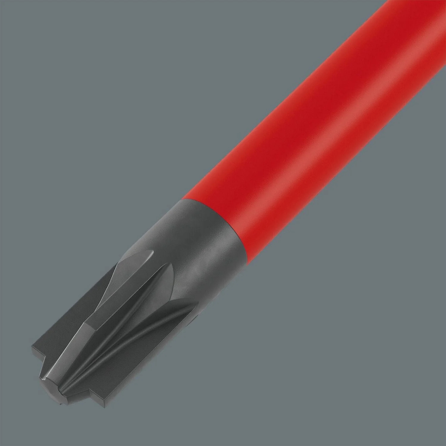 05006569001-WERA-40366651_5.jpg