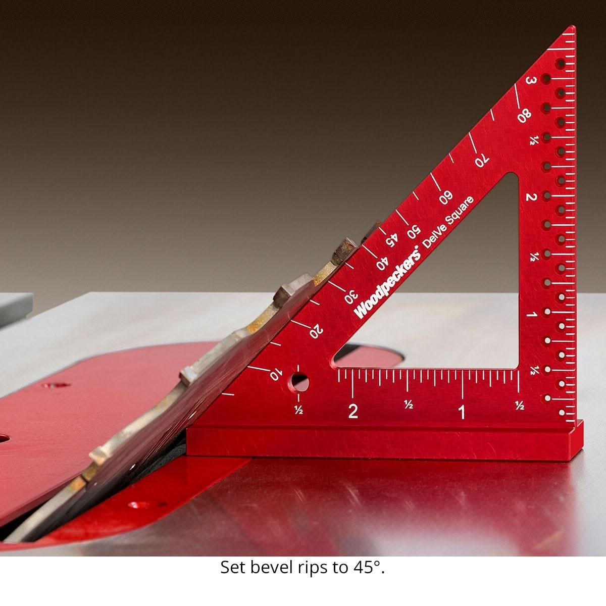 DELVESQAL3-40374568_9.jpg
